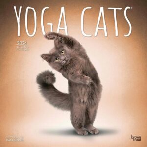 Yoga Cats Calendar 2024