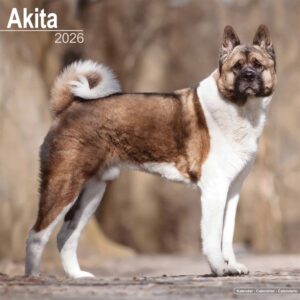 Akita Calendar 2026