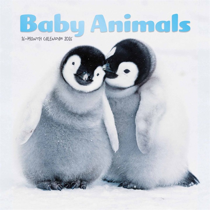 Baby Animals Mini Calendar 2026