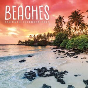 Beaches Mini Calendar 2026