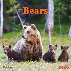Bears Calendar 2026