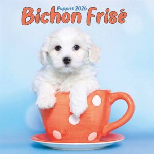 Bichon Frisé Puppies Mini Calendar 2026