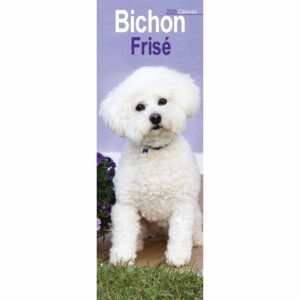 Bichon Frisé Slim Calendar 2026