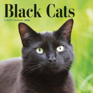 Black Cats Calendar 2026