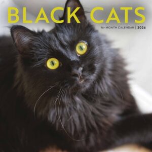 Black Cats Calendar 2026