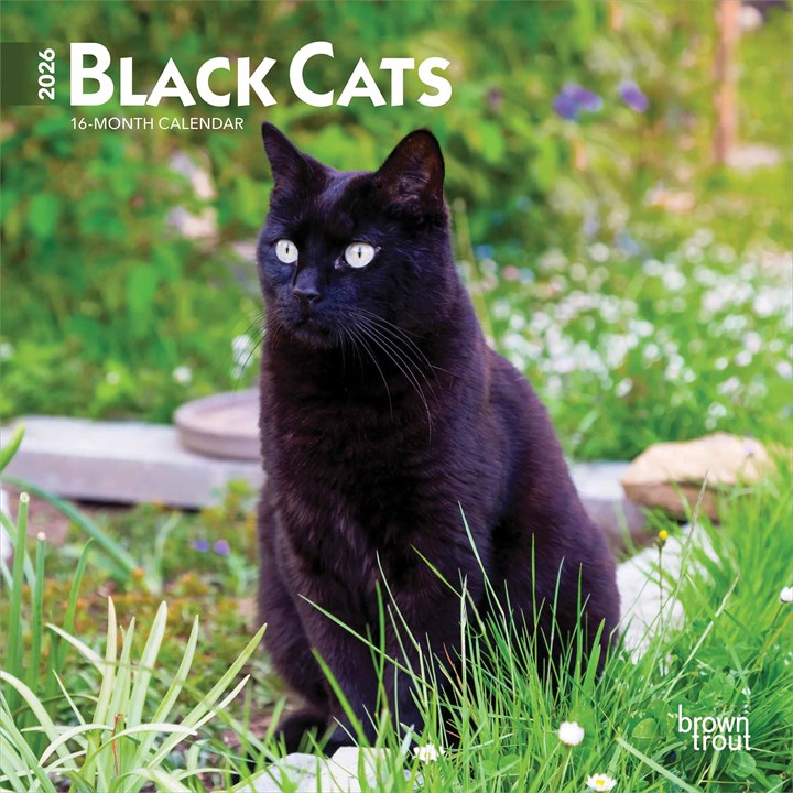Black Cats Mini Calendar 2026