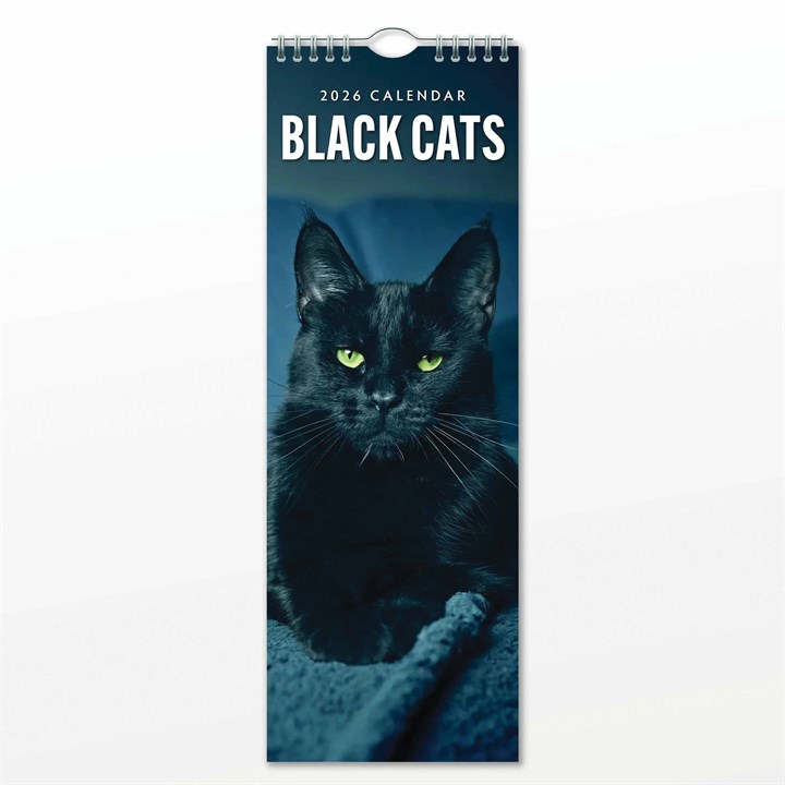 Black Cats Slim Calendar 2026