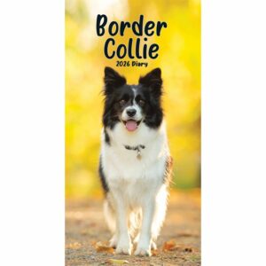 Border Collies Slim Diary 2026