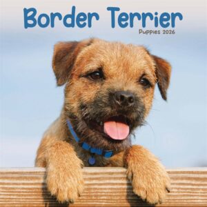 Border Terrier Puppies Mini Calendar 2026