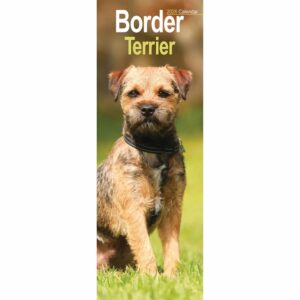 Border Terrier Slim Calendar 2026