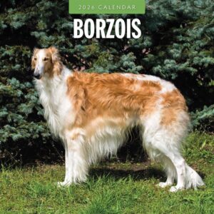 Borzois Calendar 2026