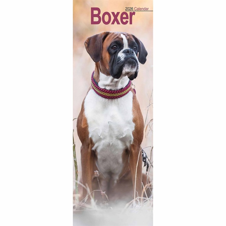 Boxer Slim Calendar 2026