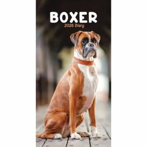 Boxer Slim Diary 2026