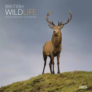 British Wildlife Photography Calendar 2026