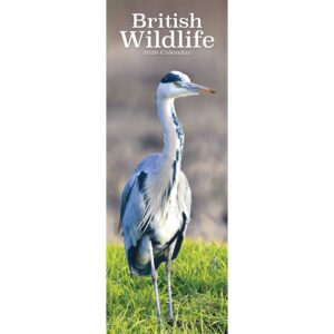 British Wildlife Slim Calendar 2026