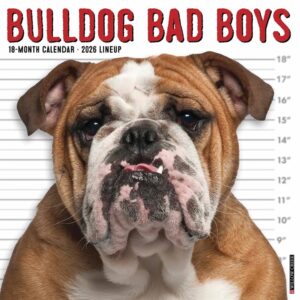 Bulldog Bad Boys Calendar 2026