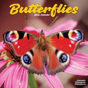 Butterflies Calendar 2026