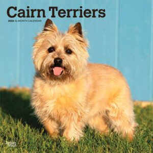 Cairn Terriers Calendar 2026