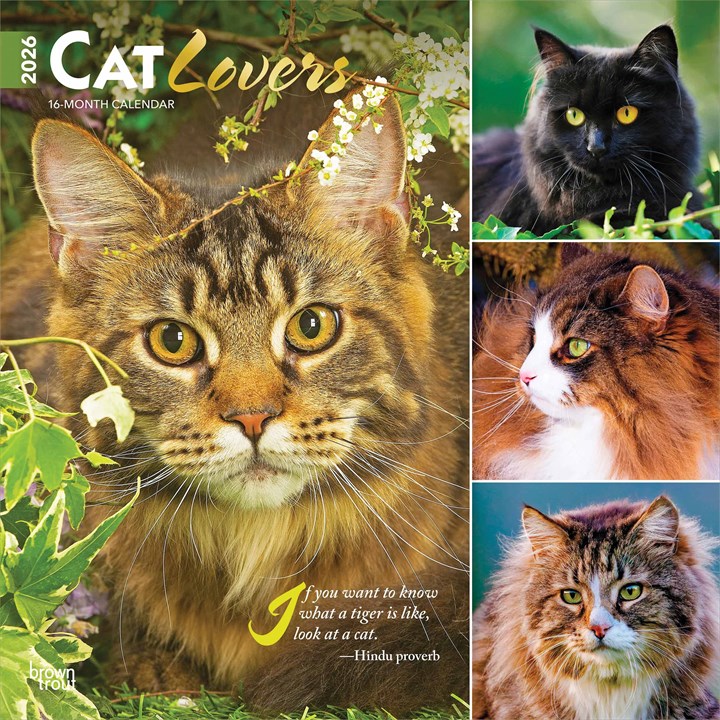Cat Lovers Calendar 2026