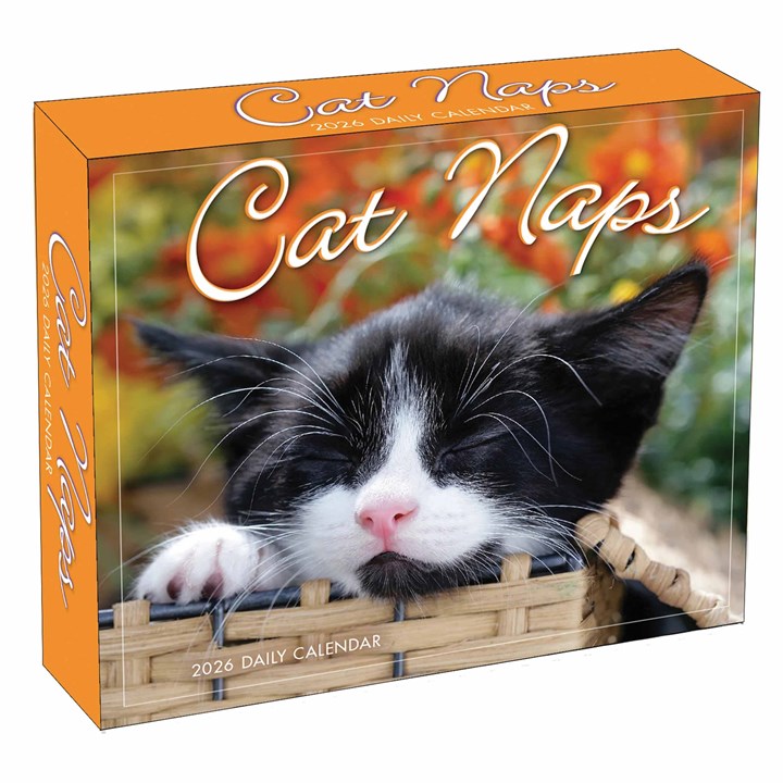 Cat Naps Desk Calendar 2026