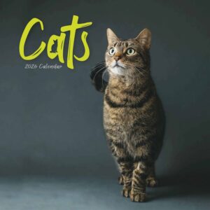 Cats Calendar 2026