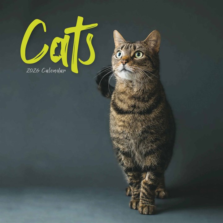 Cats Calendar 2026