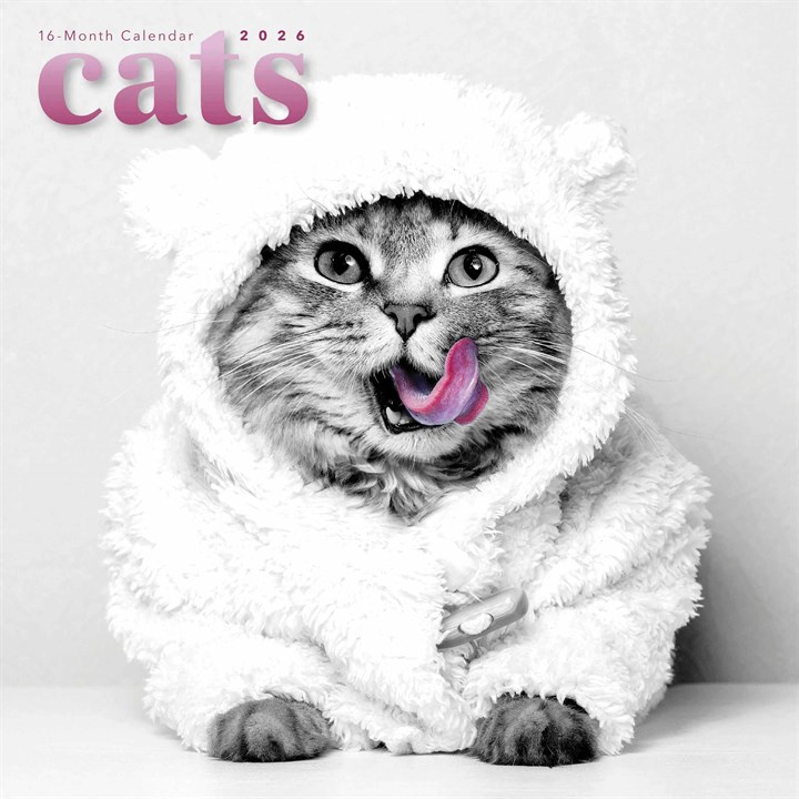 Cats Calendar 2026