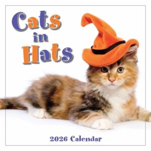 Cats In Hats Mini Calendar 2026