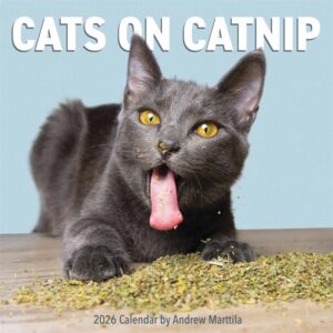 Cats On Catnip Calendar 2026