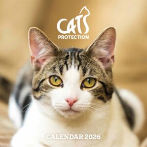Cats Protection Calendar 2026