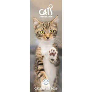 Cats Protection Slim Calendar 2026