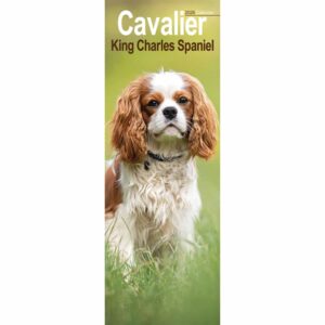 Cavalier King Charles Spaniel Slim Calendar 2026