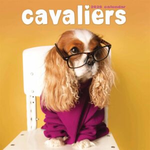 Cavaliers Calendar 2026