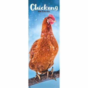 Chickens Slim Calendar 2026