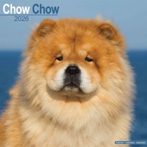 Chow Chow Calendar 2026