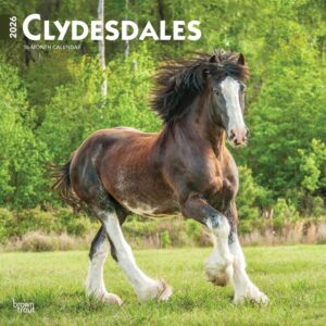 Clydesdales Calendar 2026