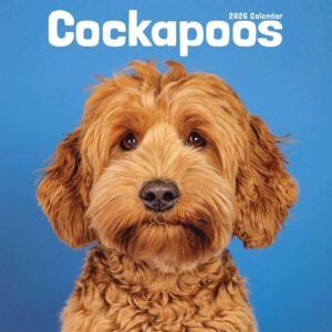 Cockapoo Calendar 2026
