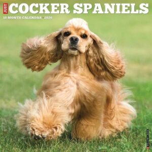 Cocker Spaniels Calendar 2026