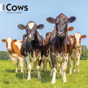 Cows Calendar 2026
