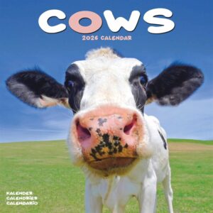 Cows Calendar 2026