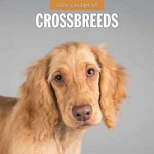 Crossbreeds Calendar 2026