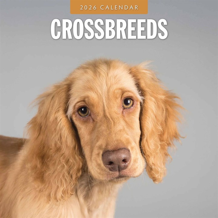 Crossbreeds Calendar 2026