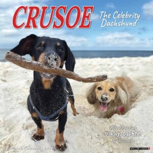 Crusoe The Dachshund Calendar 2026