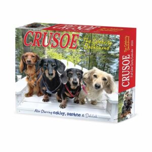 Crusoe The Dachshund Desk Calendar 2026
