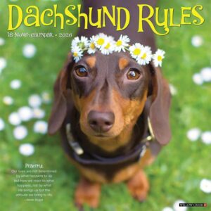Dachshund Rules Calendar 2026