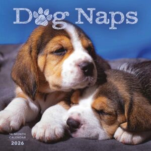 Dog Naps Calendar 2026