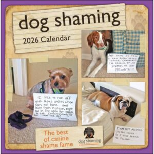Dog Shaming Calendar 2026