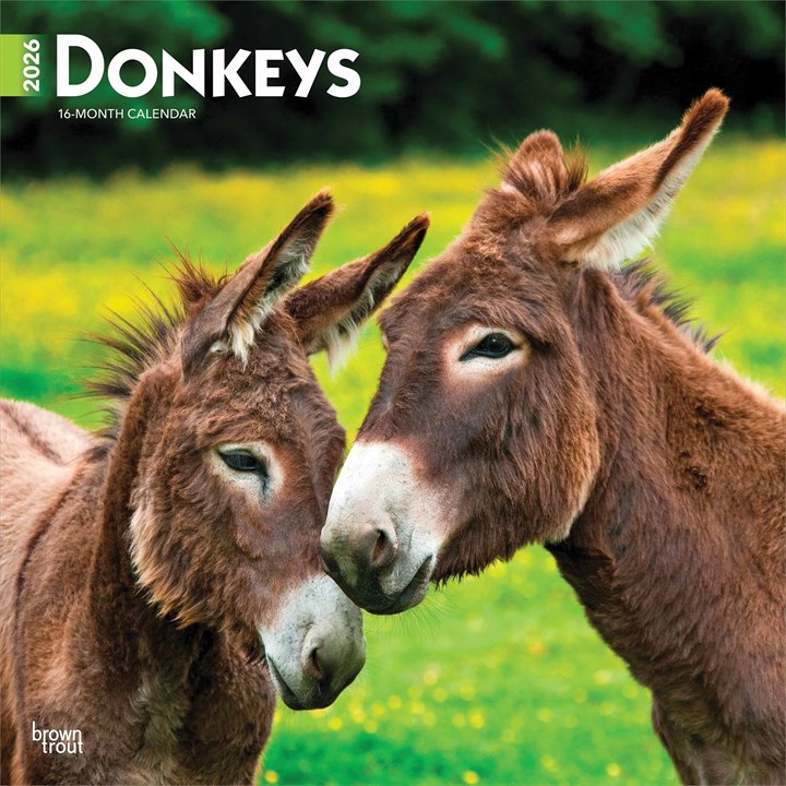 Donkeys Calendar 2026
