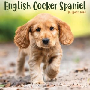 English Cocker Spaniel Puppies Mini Calendar 2026