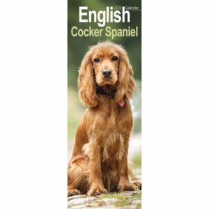 English Cocker Spaniel Slim Calendar 2026